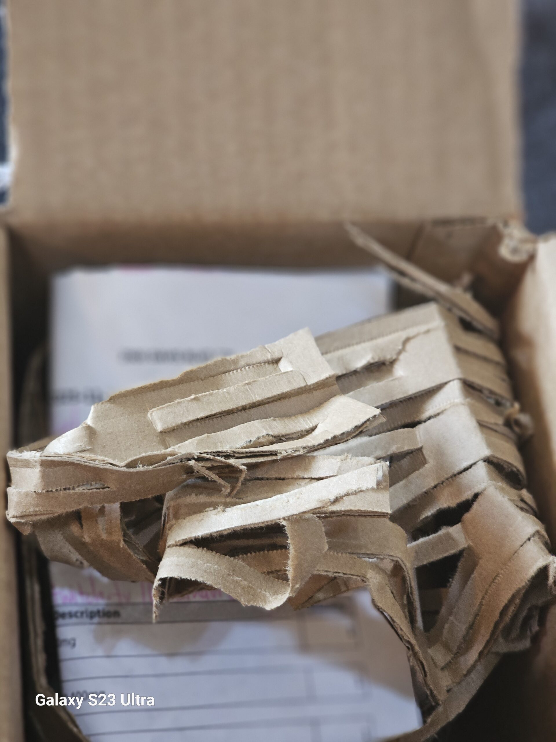 Open Pinnacle Hemp shipping box with cardboard protective packaging inside